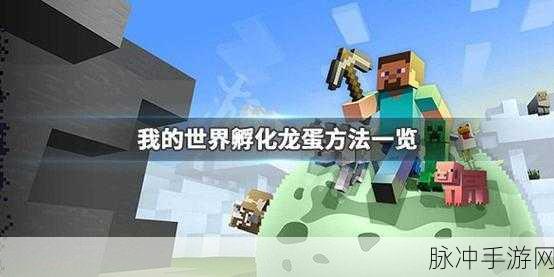 我的世界手游龙蛋孵化全攻略,八种龙蛋孵化技巧详解