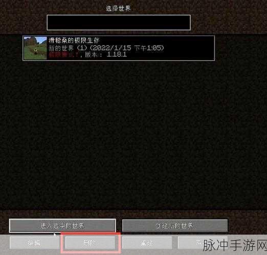 我的世界手游攻略,使用加速器玩外服的风险与防范