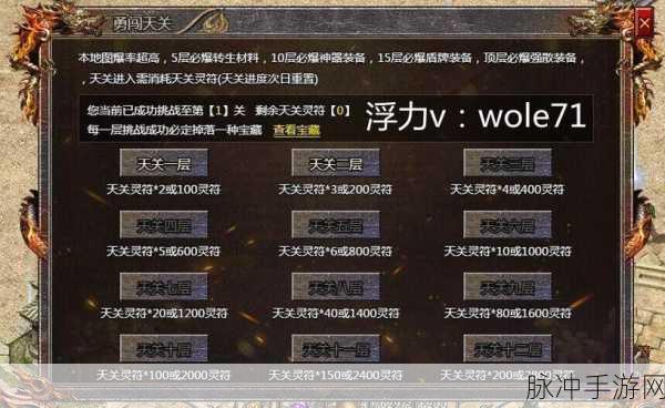传奇霸主深度攻略,揭秘神之陵墓掉落宝藏