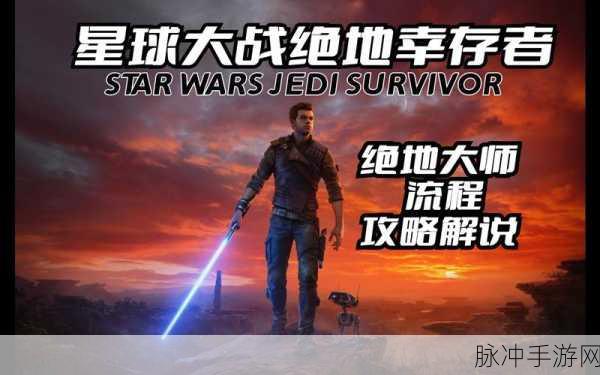 星球大战绝地幸存者手游攻略，深度解析双刀形态的优势