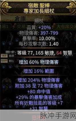 流放之路,深入探索圣宗的奥秘之旅全攻略