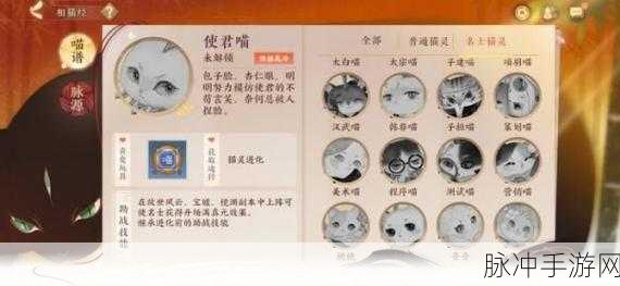 忘川风华录顶尖猫灵资质排行大揭秘,助你选出最强伙伴!
