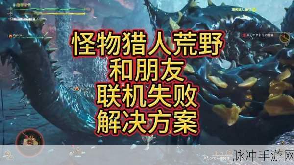 怪物猎人世界Steam平台联机难题全面揭秘
