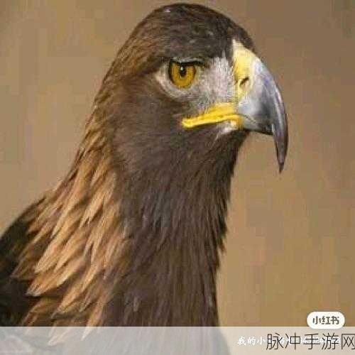 雄狮模拟器游戏下载,探索非常有意思的动物模拟世界
