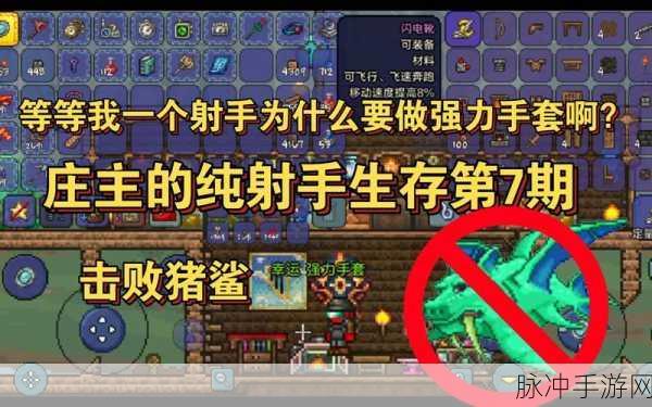 泰拉瑞亚猪鲨挑战，全面解析最佳装备选择