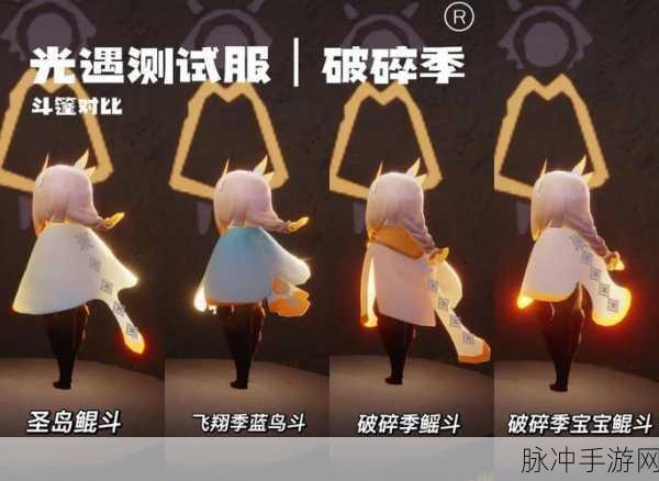 揭秘光遇黑色斗篷,获得方法与誓言前置条件全解析