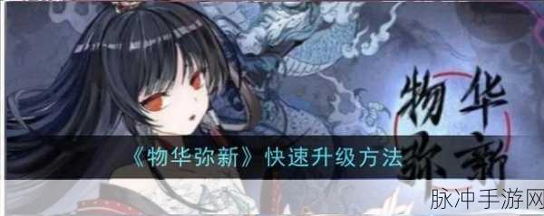 物华弥新快速升级秘籍,解锁高效成长路径