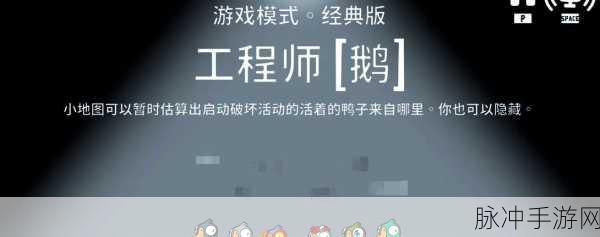 鹅鸭杀术士深度解析,揭秘职业职责与技能,探寻神秘角色背后的故事