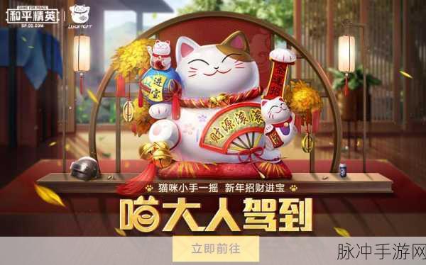 和平精英猫大人玩法全攻略,讨好与吸财技巧揭秘