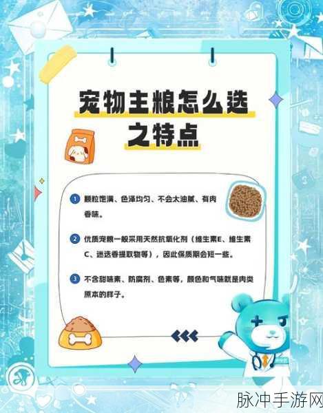 阴阳师宠物养成攻略,详解宠物粮食获取与新宠物获取方法