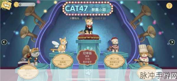 小森生活猫咪选美全攻略,解锁猫咪选美方法新篇章