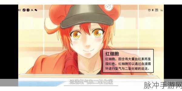 探秘工作细胞安卓版,国产热门趣味角色扮演游戏的魅力
