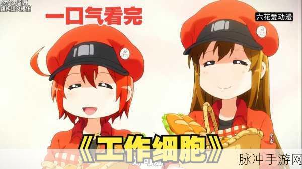 探秘工作细胞安卓版,国产热门趣味角色扮演游戏的魅力