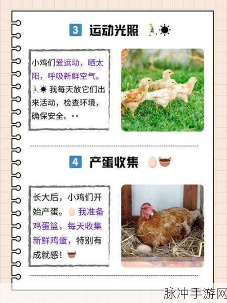 2025年热门我的世界手机版养鸡攻略大全,高效养殖技巧与数据分析深度讲解