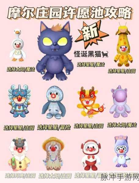 摩尔庄园龙之幻境,深入探索神秘的魔法世界全攻略
