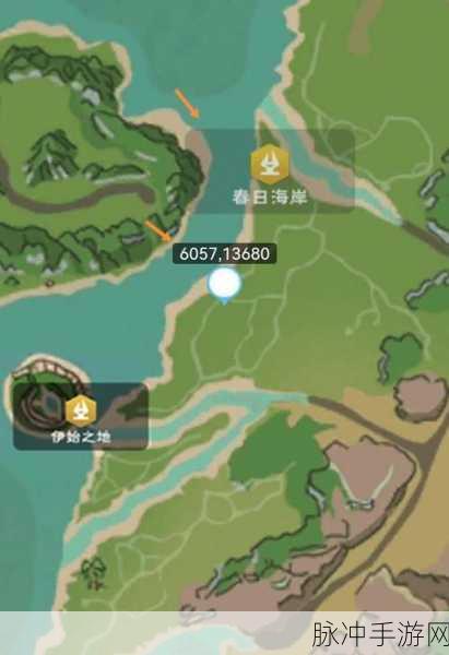 创造与魔法,揭秘胡萝卜最多位置,助你快速采集