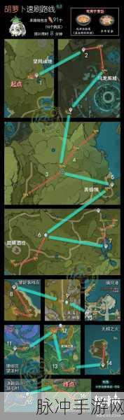 创造与魔法,揭秘胡萝卜最多位置,助你快速采集