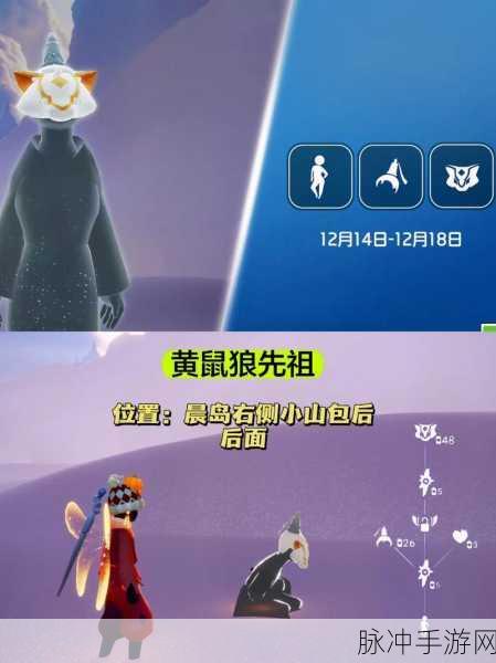 光遇奇妙之旅,萌趣瞬间与震撼场景并存——黄鼠狼与狮子的不期而遇