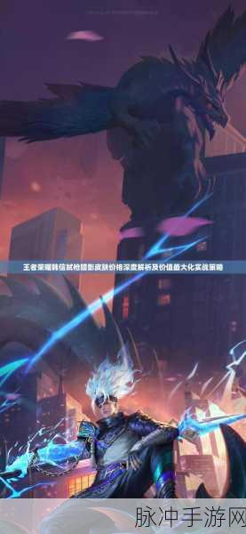 王者荣耀限定皮肤深度解析,哪款才是你的菜?
