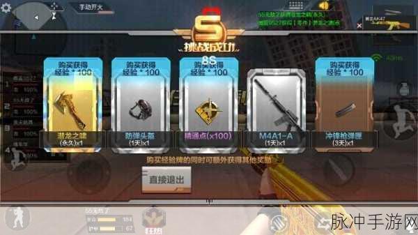穿越火线手游深度攻略，如何高效刷取龙啸武器