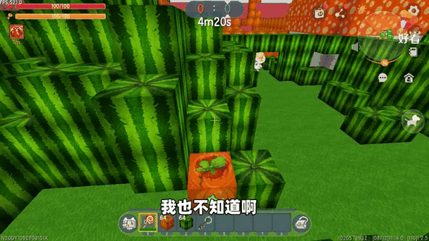 迷你世界躲猫猫地图迷你号全面分享及躲猫猫存档深度详解