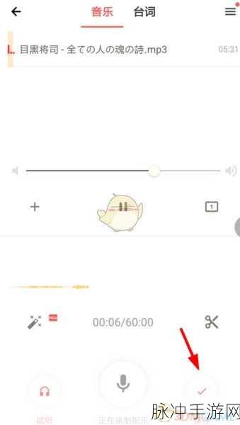 荔枝FM手游音频创作全攻略,录音与发布教程
