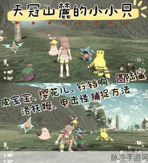 泰拉瑞亚闪电胡萝卜获取攻略,解锁伏特兔宠物的秘密