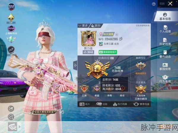 和平精英个性化设置攻略，如何打造专属单一主页展示