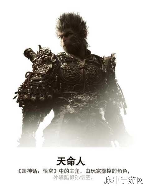 惊喜揭秘!黑神话悟空玄铁征袍铠获取全攻略,速览玄铁战甲收集终极秘诀!