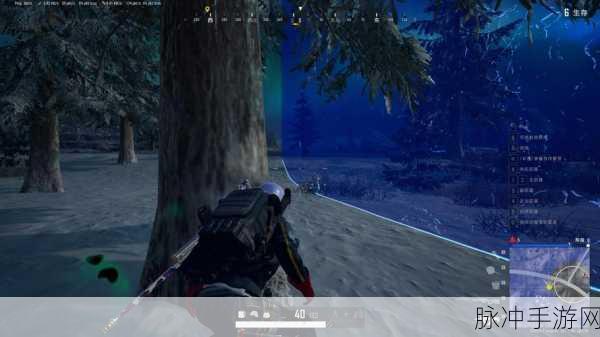 绝地求生大逃杀WIN10提升FPS全攻略