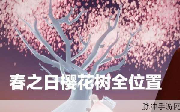 光遇樱花树何时凋零,手游攻略详解
