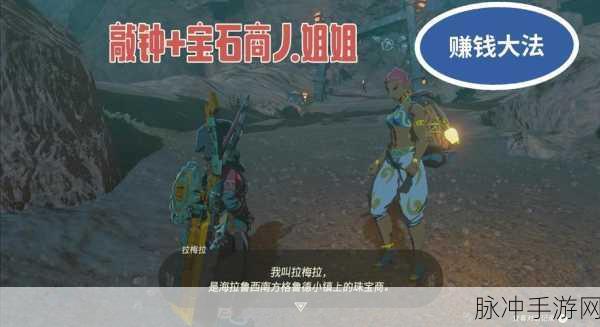 塞尔达传说王国之泪,全面攻略——如何顺利完成烦恼的萝菜尔任务