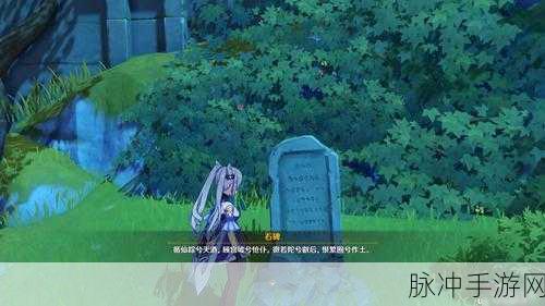 原神循仙踪兮天遒任务攻略,解锁全部成就的深度指南