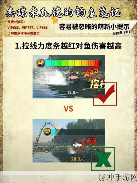 欢乐钓鱼大师，高效体力规划使用全攻略