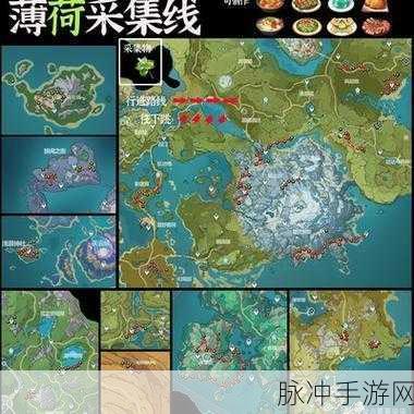 原神薄荷采集全攻略，解锁蒙德地区的清新绿意