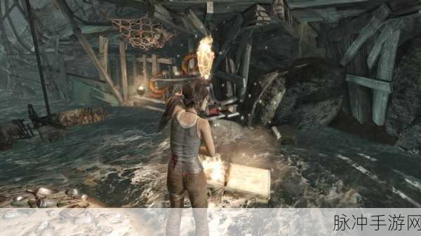 古墓丽影暗影，凝视深渊的审判之秘玩法攻略，深度探索古墓探险技巧揭秘