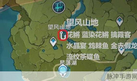 原神钓鱼攻略,全面解析假龙类钓鱼点位置