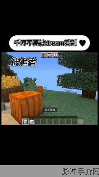 粉状雪桶制作攻略,我的世界冰雪奇缘工具大解密