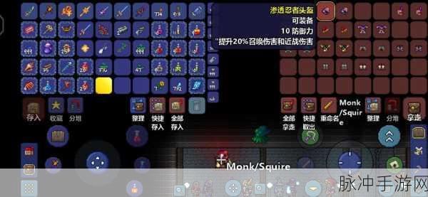 泰拉瑞亚战士毕业饰品搭配指南,全肉战士饰品深度推荐