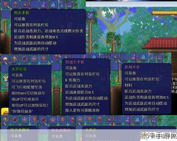 泰拉瑞亚战士毕业饰品搭配指南,全肉战士饰品深度推荐