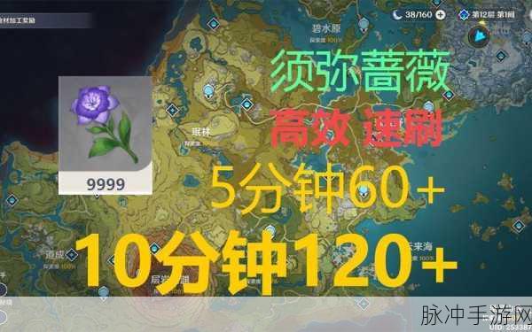原神玩家必看，全面解析如何收集须弥蔷薇的种子