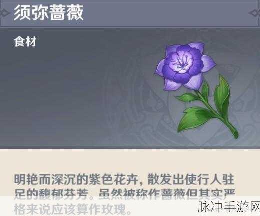 原神玩家必看,全面解析如何收集须弥蔷薇的种子