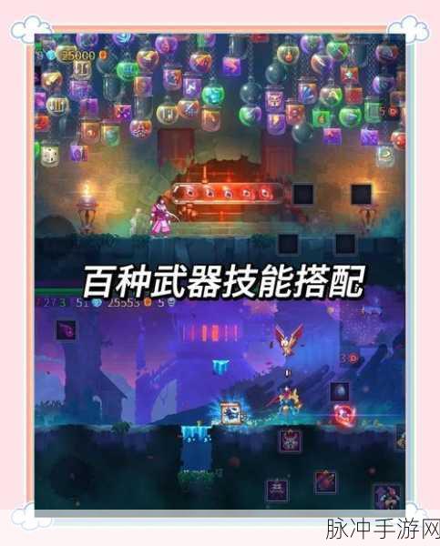 重生细胞深度攻略,解锁国王皮肤的全面指南