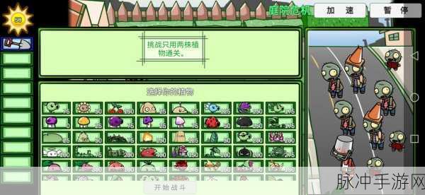焰皇花燃爆战场！植物大战僵尸BT版全新体验攻略