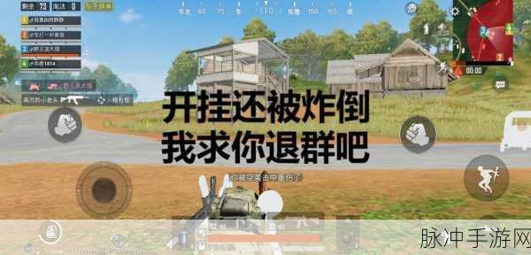 和平精英除草鸡,新时代的战场利器全攻略