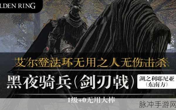 艾尔登法环深度攻略，黑夜骑兵剑刃戟属性详解与实战应用