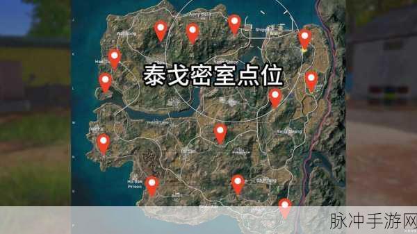 绝地求生泰戈地图鸟群涌现揭秘,生态细节展现自然奥秘探索