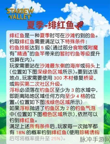 创造与魔法星域钓鱼全攻略,解锁珍稀渔获的奥秘
