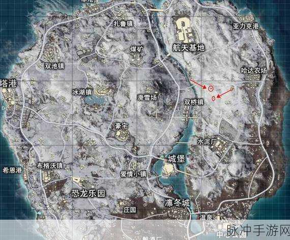 和平精英鸟巢彩蛋全攻略，探寻神秘鸟巢，解锁游戏新乐趣
