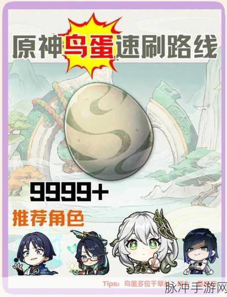 原神手游攻略,揭秘绝云辣椒刷新机制与采集策略